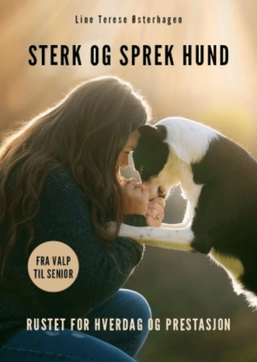 Omslaget til Sterk og sprek hund av Line Terese Østerhagen